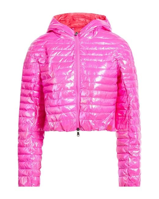 Canadian Pink Puffer