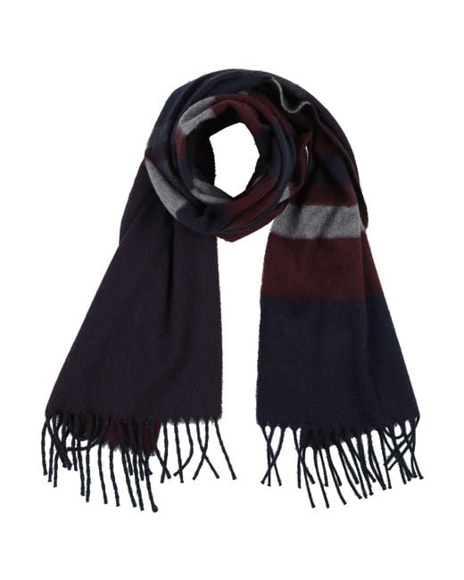 Drumohr Blue Scarves for men