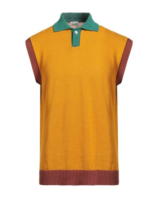 GALLIA Orange Jumper for men