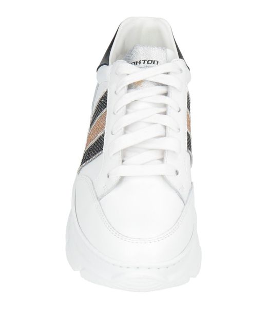 Stokton White Trainers