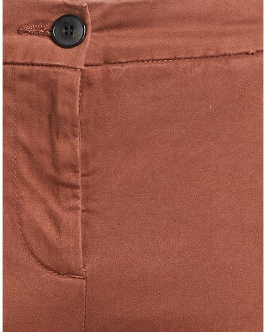 Douuod Brown Pants Cotton, Elastane