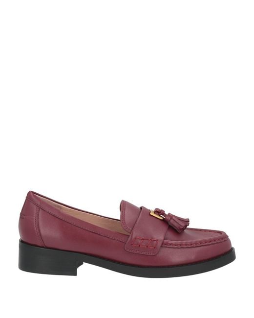 Coccinelle Purple Mokassin