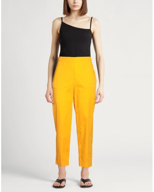 Jucca Yellow Trouser