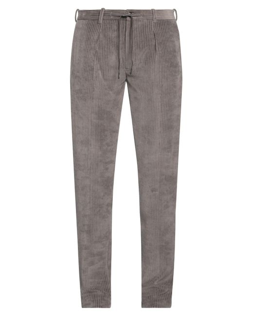 Circolo 1901 Gray Trouser for men