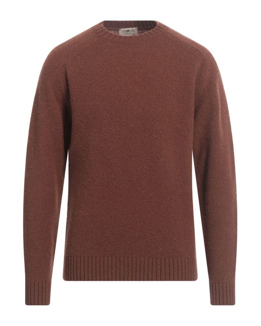 Irish Crone Brown Jumper for men