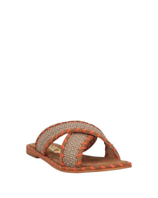 Colors Of California Brown Criss Cross Sandal