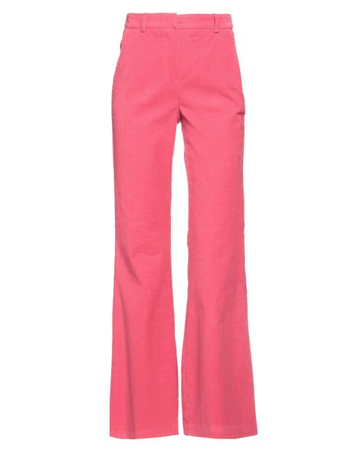 SFIZIO STUDIO Pink Hose