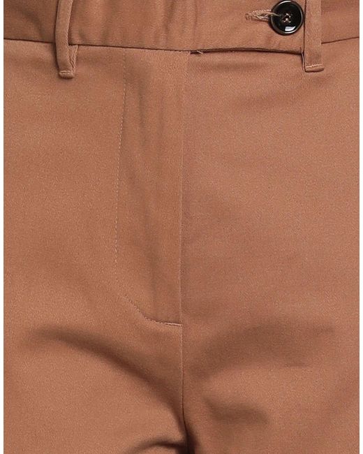 Ballantyne Brown Camel Pants Cotton, Elastane