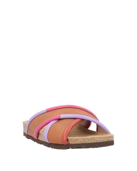 Maliparmi Pink Sandals