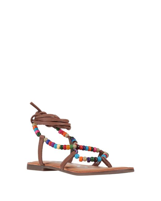 Gioseppo Brown Thong Sandal