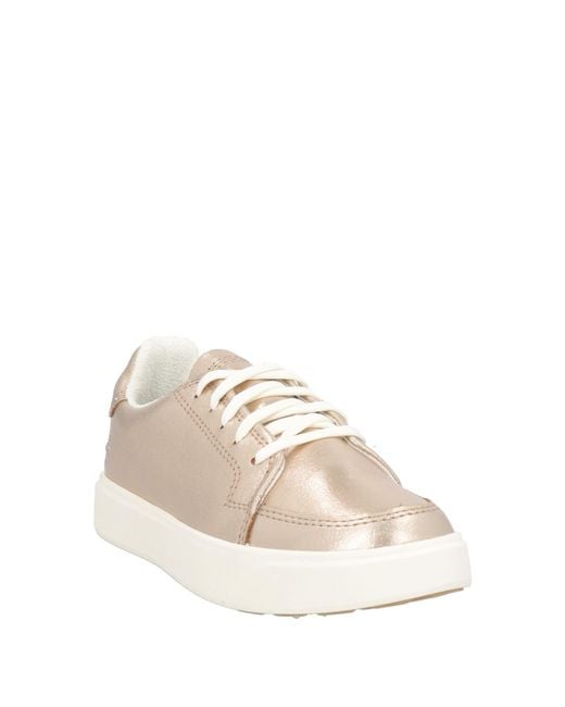 Timberland Natural Trainers