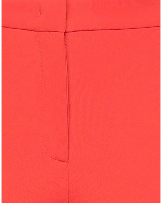 Pinko Red Pants