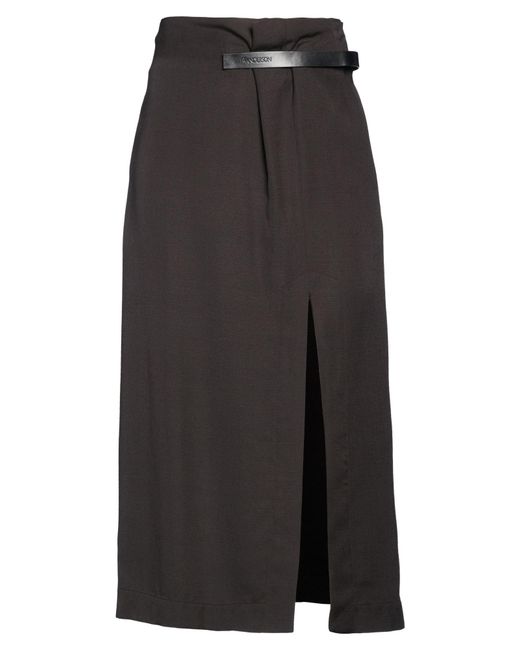 J.W. Anderson Gray Midi Skirt Viscose, Silk