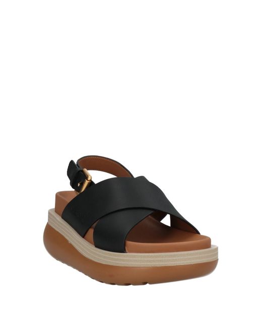 See By Chloé Black Sandals