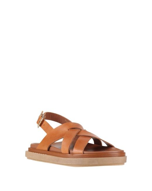Alohas Brown Sandals