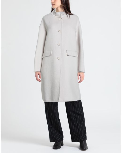 Hox Gray Coat