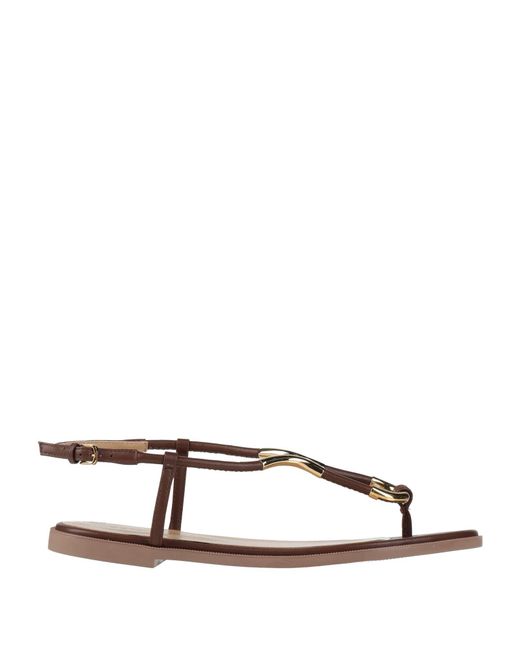 Sergio Rossi Multicolor Thong Sandal