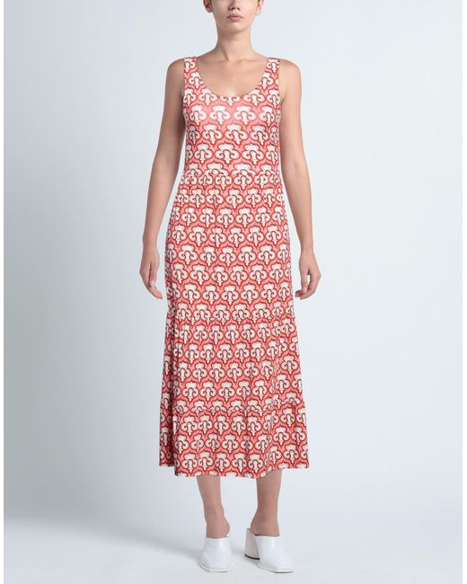 Maliparmi Pink Midi-Kleid