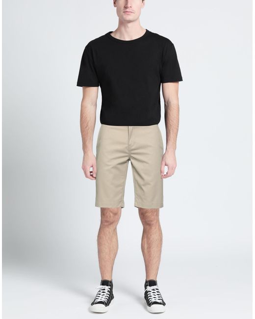 Dickies Natural Shorts & Bermuda Shorts for men
