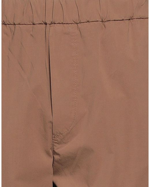 Alpha Studio Brown Trouser for men