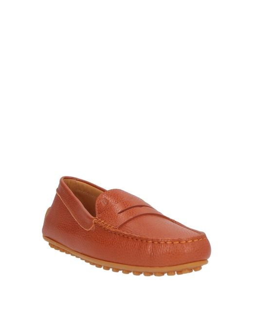 Tod's Brown Loafer