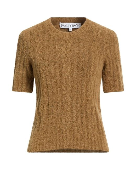 J.W. Anderson Natural Khaki Sweater Acrylic, Polyamide, Wool, Alpaca Wool, Elastane