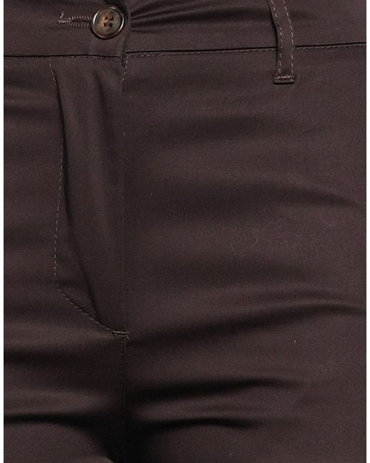 Alpha Studio Brown Trouser