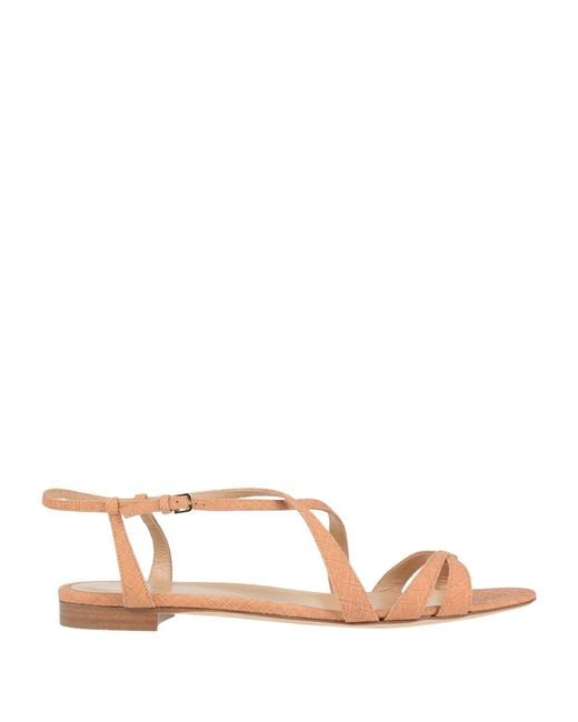 Sergio Rossi Brown Sandals