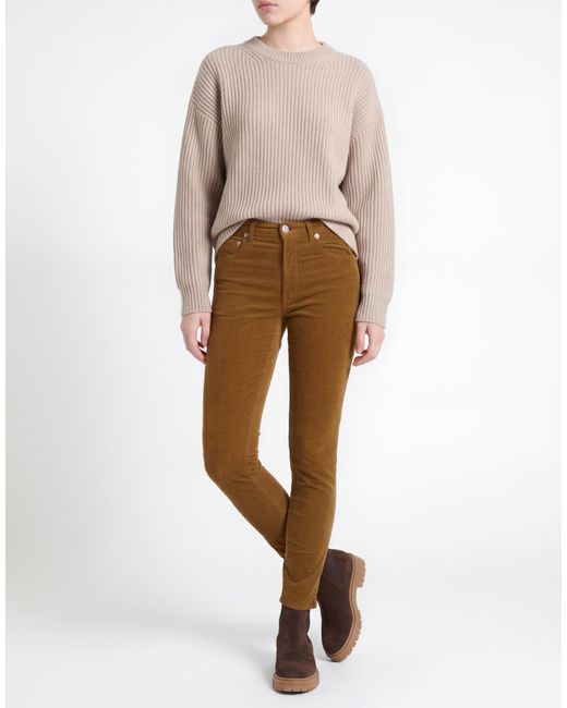 People Brown Pants Cotton, Viscose, Elastane
