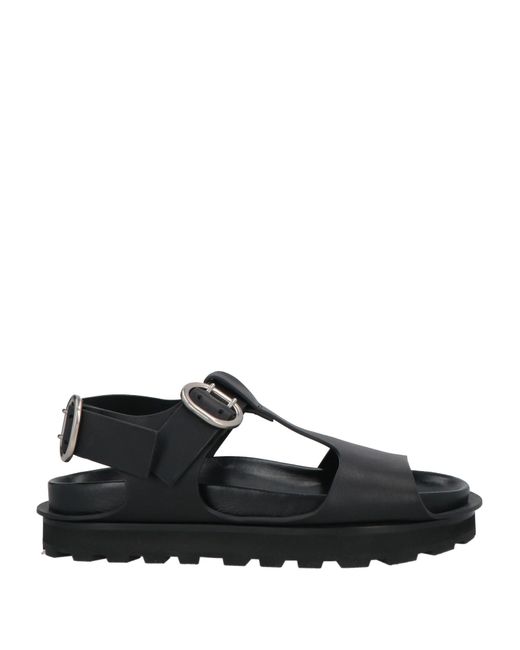 Jil Sander Black Sandale