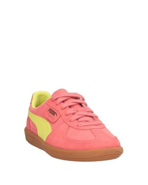 PUMA Pink Sneakers Leather