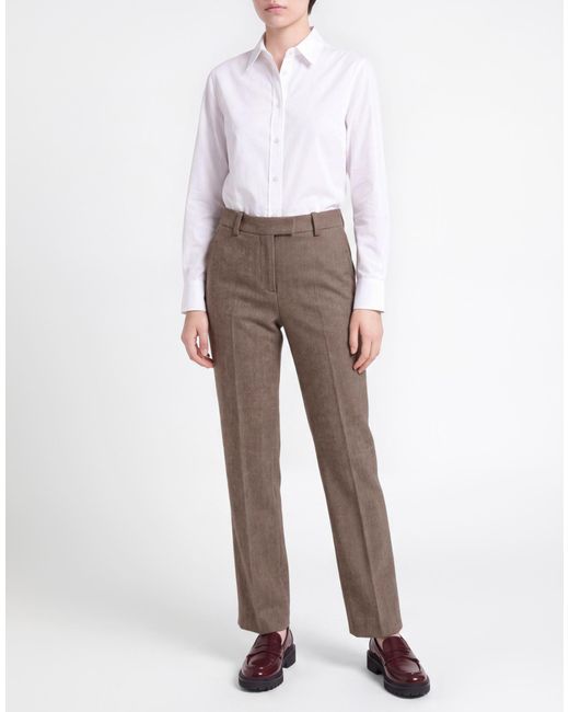 Circolo 1901 Gray Pants Cotton, Elastane