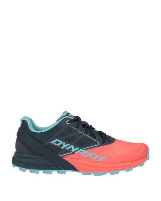 Sneakers Dynafit en coloris Blue