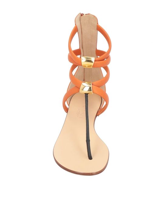Vicini Toe Strap Sandals in Brown | Lyst