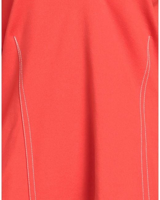 Beatrice B. Red Top