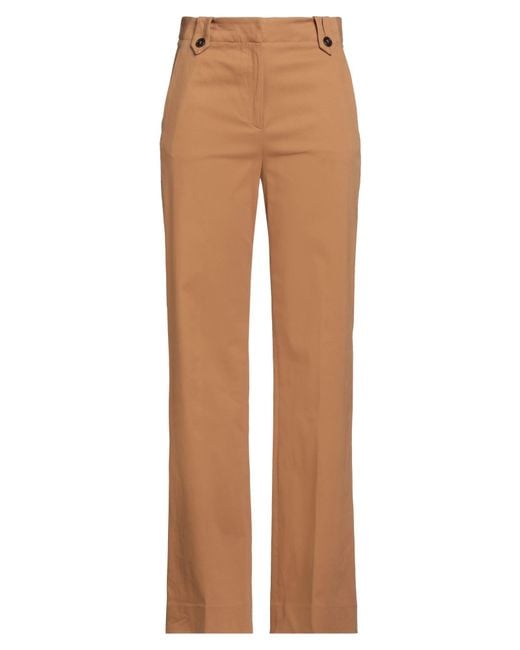 Antonelli Brown Pants Cotton, Elastane