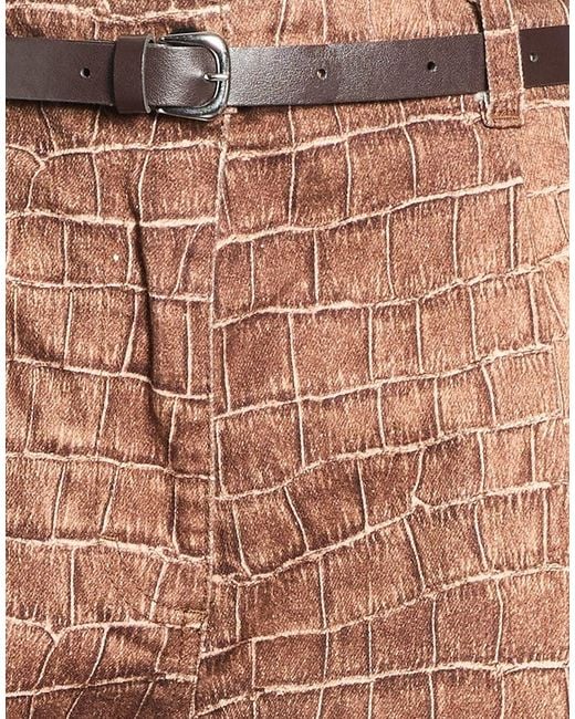 Please Brown Shorts & Bermuda Shorts Cotton, Elastane