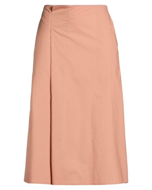 Sofie D'Hoore Pink Midi Skirts