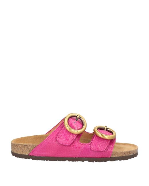 Maliparmi Pink Sandals