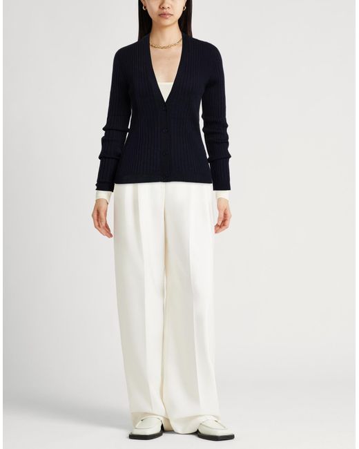 Peserico Blue Cardigans