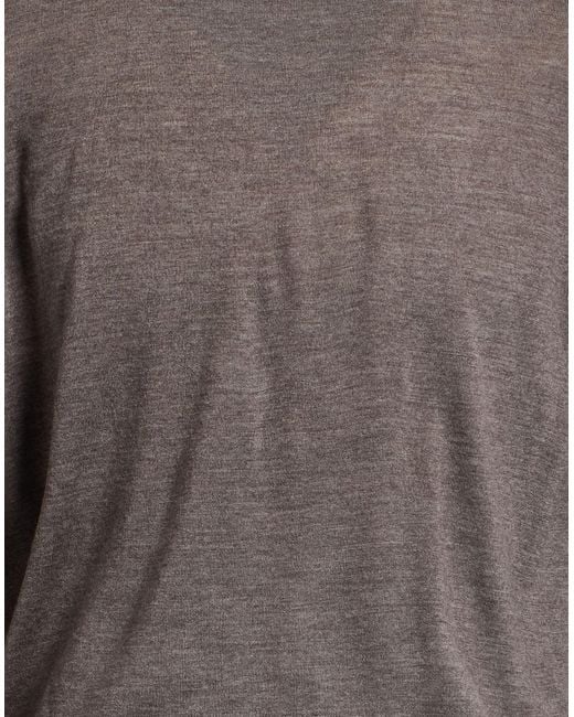 Aion Gray Jumper for men