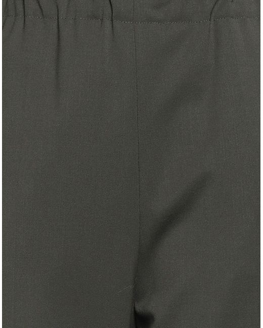 Hache Gray Pants