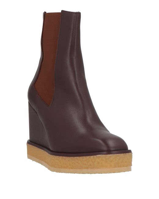 Castaner Brown Stiefelette