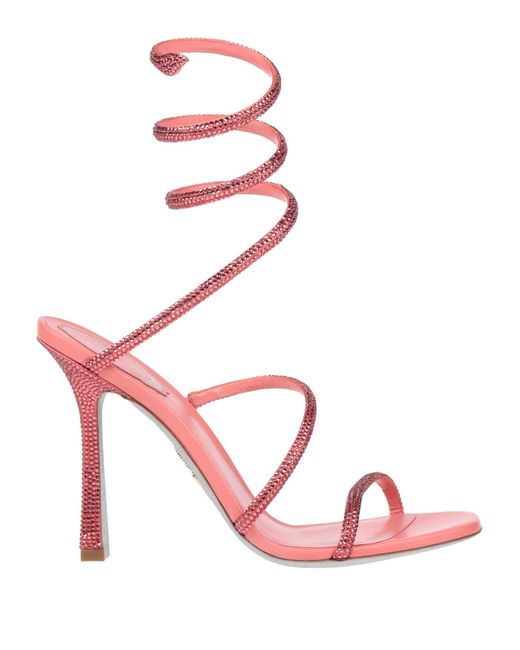 Rene Caovilla Pink Sandale