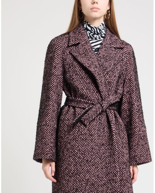 Caractere Purple Coats