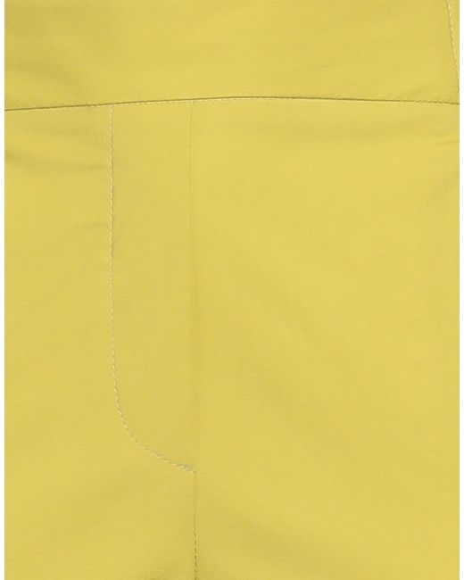 Antonelli Yellow Trouser
