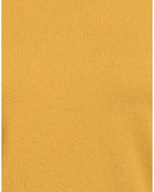 Kangra Yellow Jumper