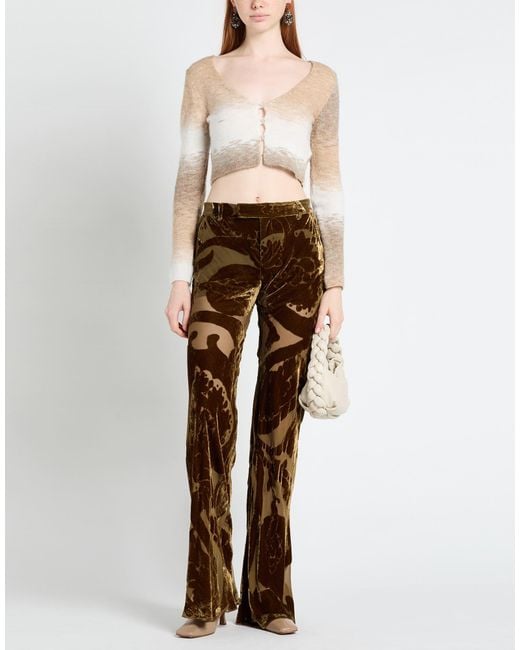 Etro Brown Pants