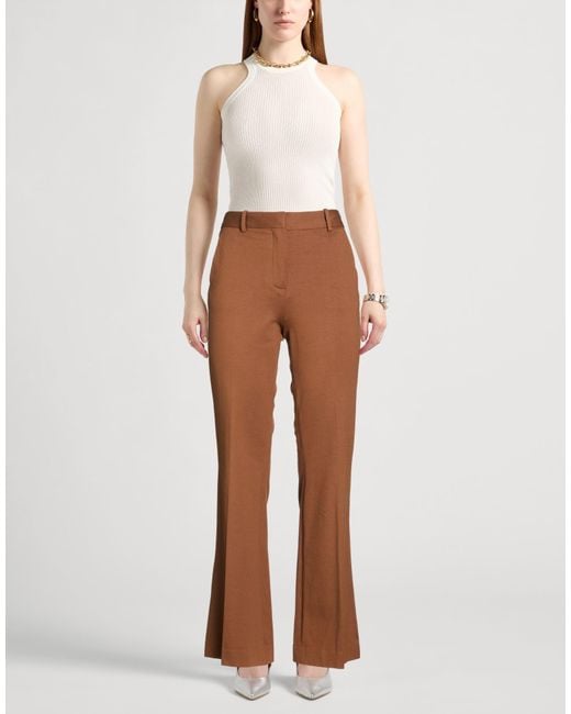 Circolo 1901 Brown Pants Cotton, Elastane
