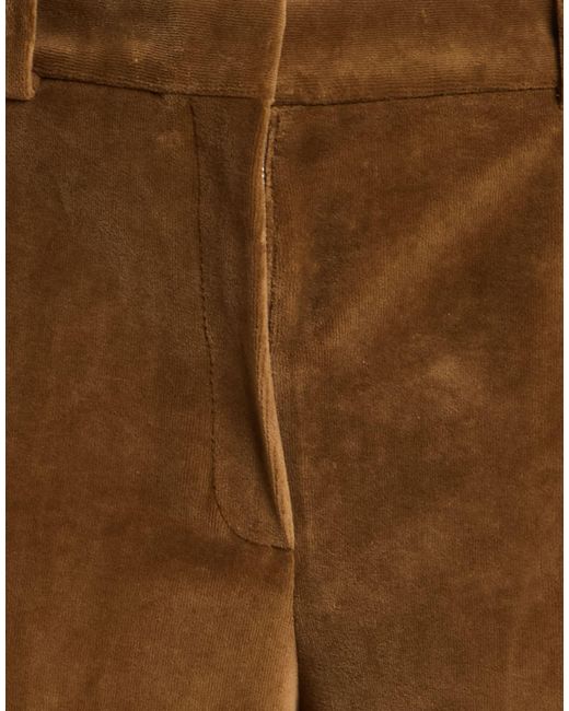 Circolo 1901 Brown Trouser